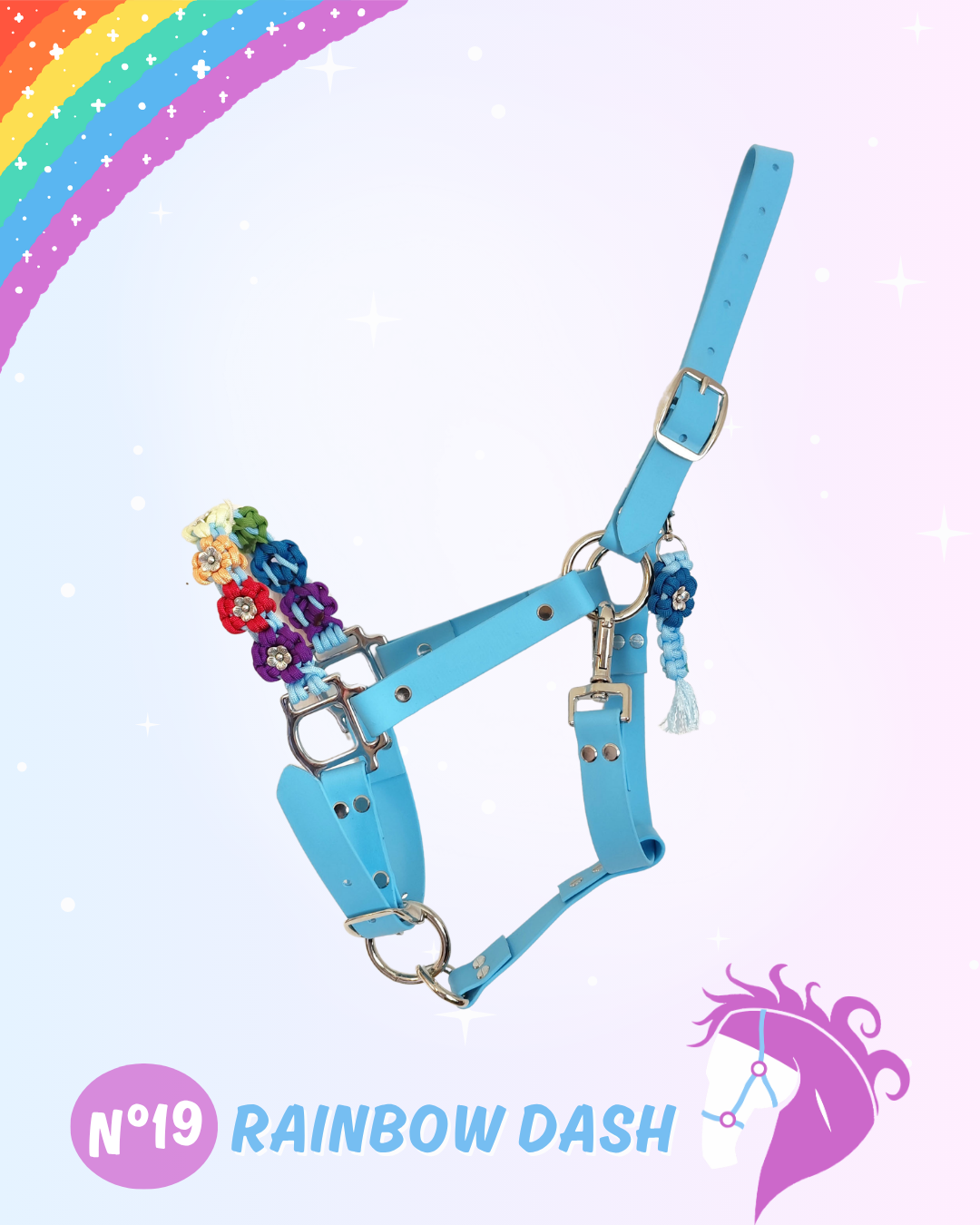 rainbow dash rainbow dash