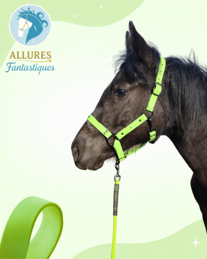 greenie (longe assortie incluse)