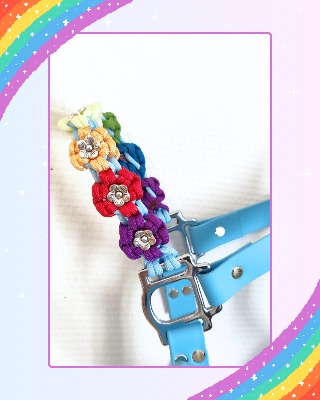 rainbow dash rainbow dash