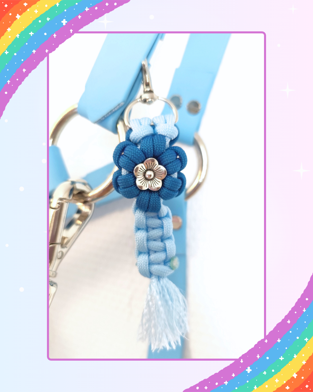 rainbow dash rainbow dash