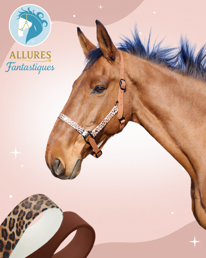 Licol biothane léopard