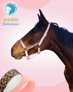 Licol biothane léopard rose