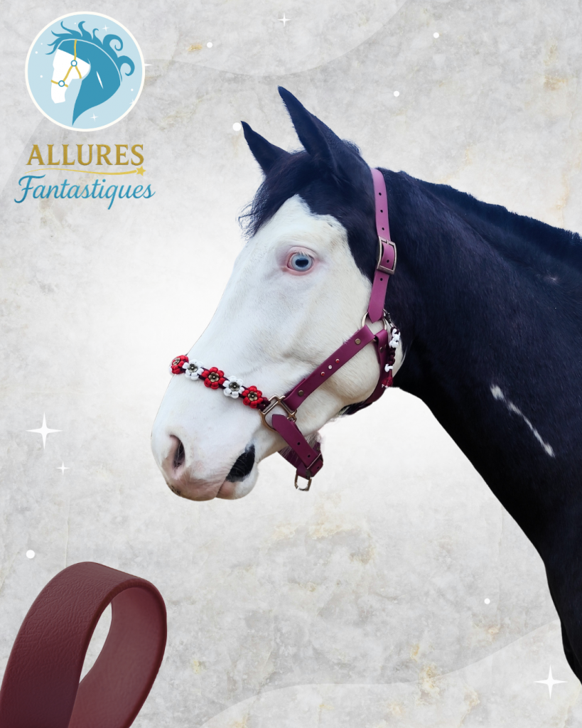 une fleur pour sophie