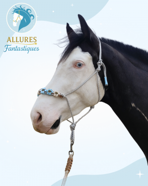 licol en corde rêve bleu