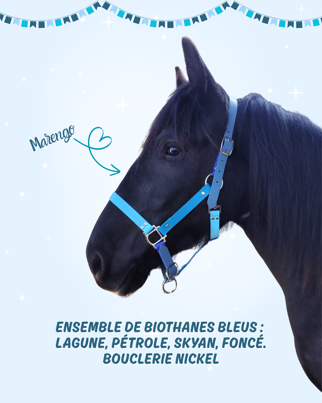 arlequin n°3 arlequin n°3