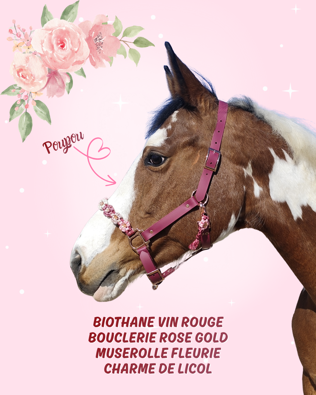 blush and burgundy blush and burgundy