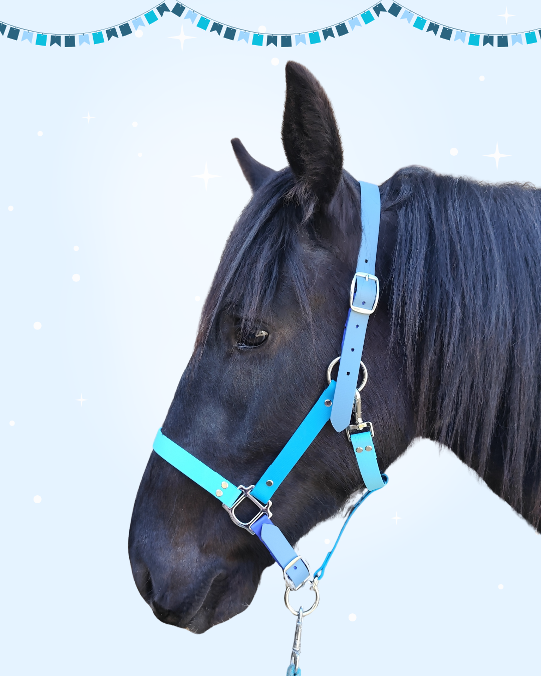 arlequin n°3 arlequin n°3