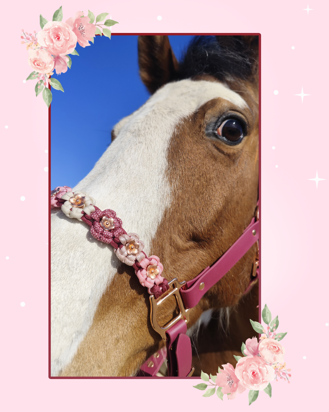 blush and burgundy blush and burgundy