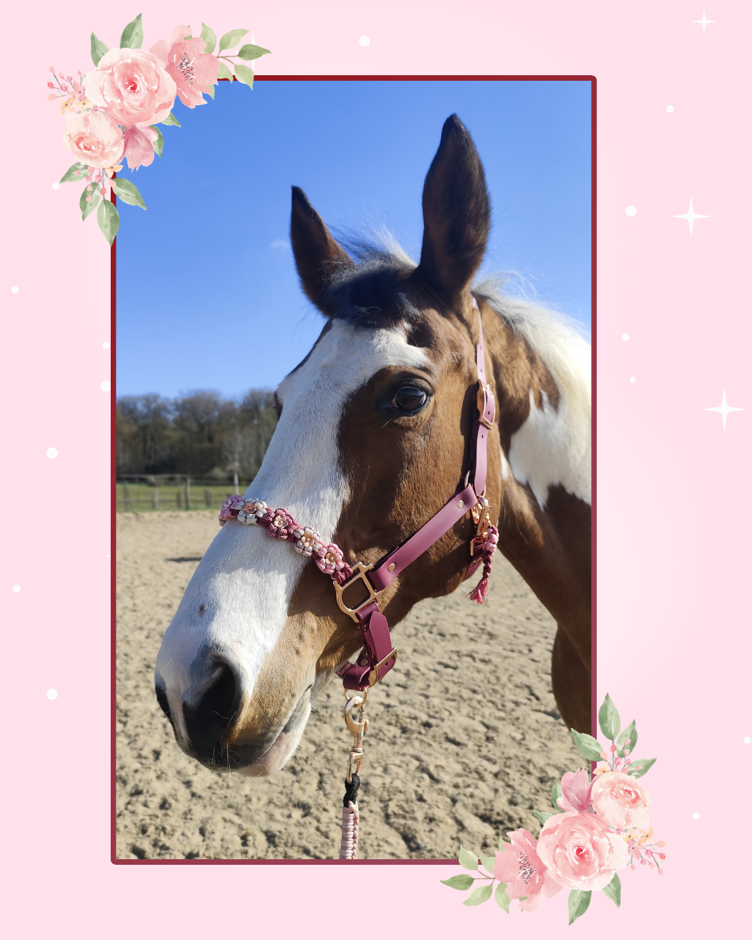 blush and burgundy blush and burgundy