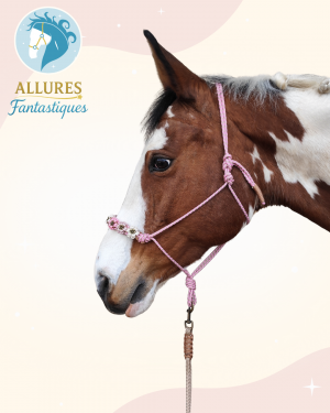 licol en corde rose des sables