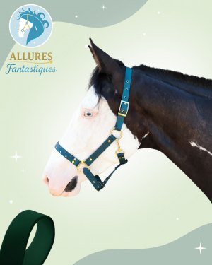 firone licol biothane taille cob